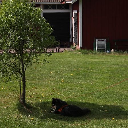 Mora Vandrarhem Och Gaesthem Vinäs Extérieur photo