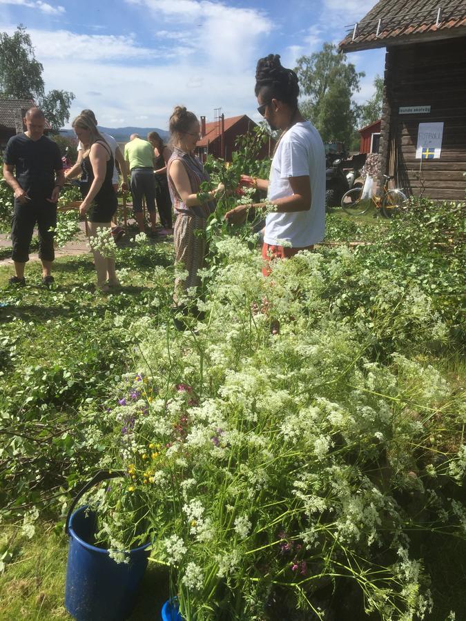 Mora Vandrarhem Och Gaesthem Vinäs Extérieur photo