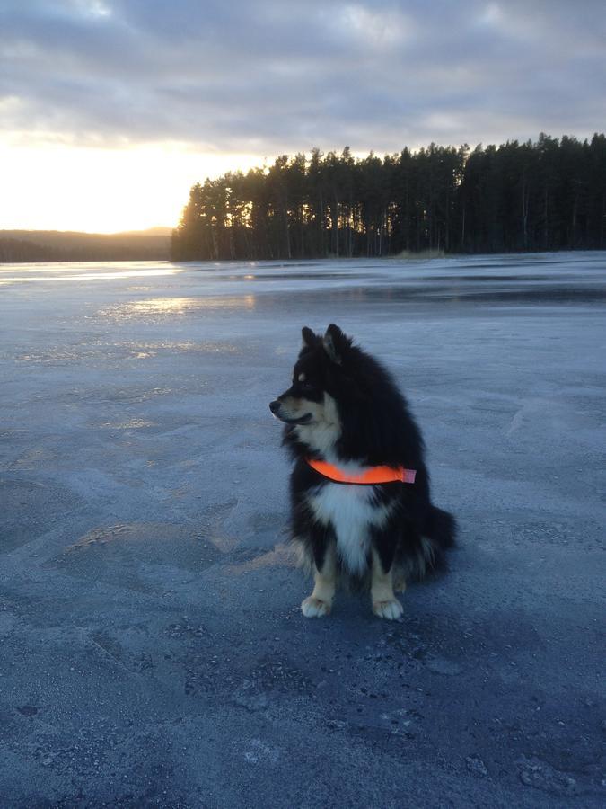 Mora Vandrarhem Och Gaesthem Vinäs Extérieur photo